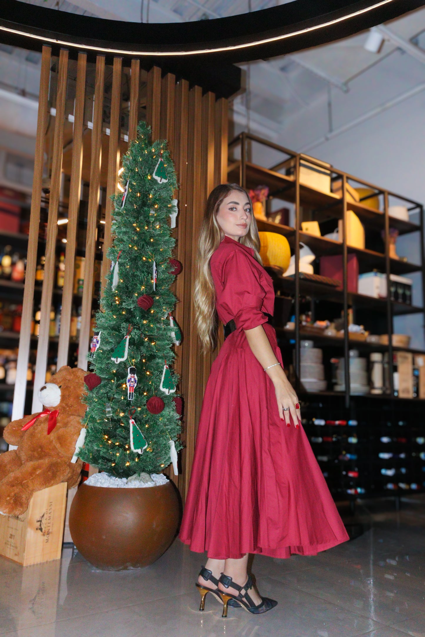 Alejandra elegant dress