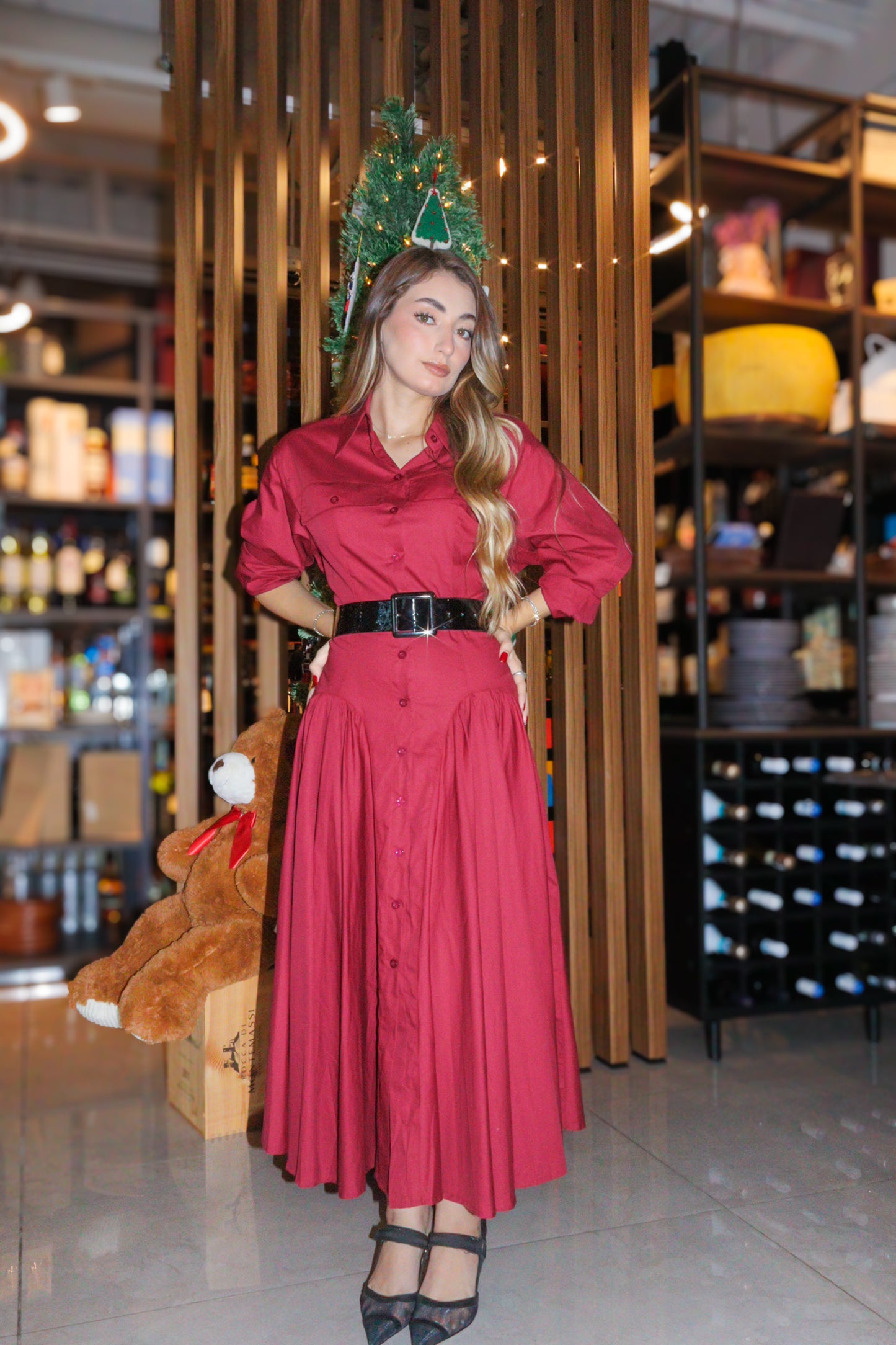 Alejandra elegant dress