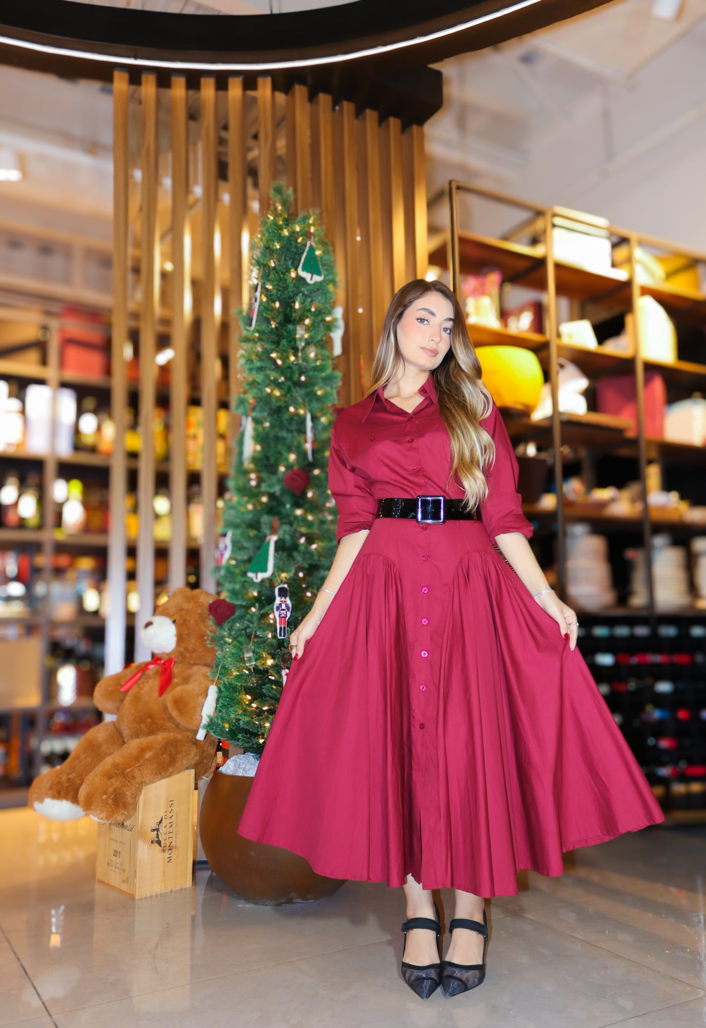 Alejandra elegant dress